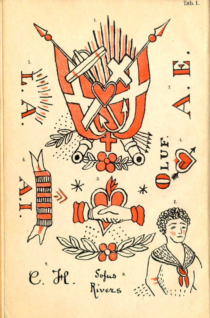 Hajhovedet