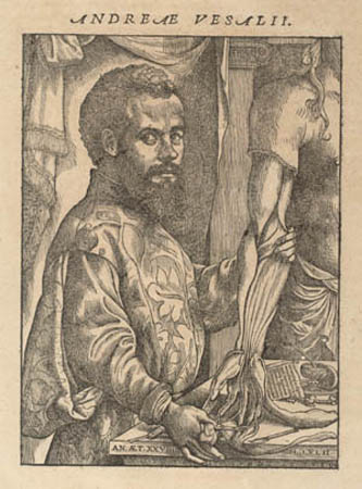 Portræt af Andreas Vesalius fra De humani corporis fabrica ... 1543