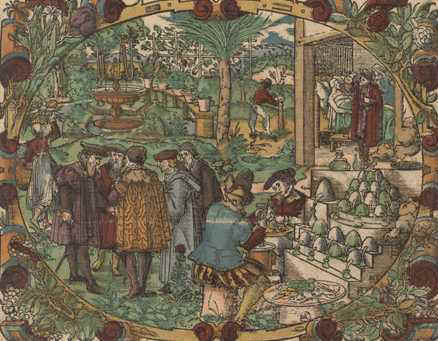 Urtemarked, Lonicer "Kreuterbuch", 1582
