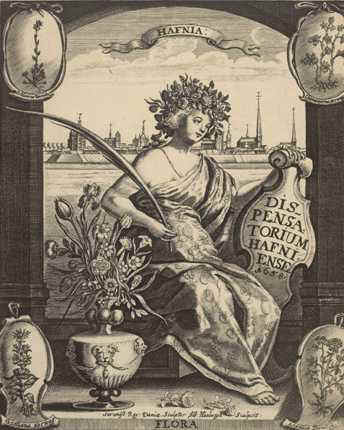 Dispensatorium hafniense, 1658. Titekobber