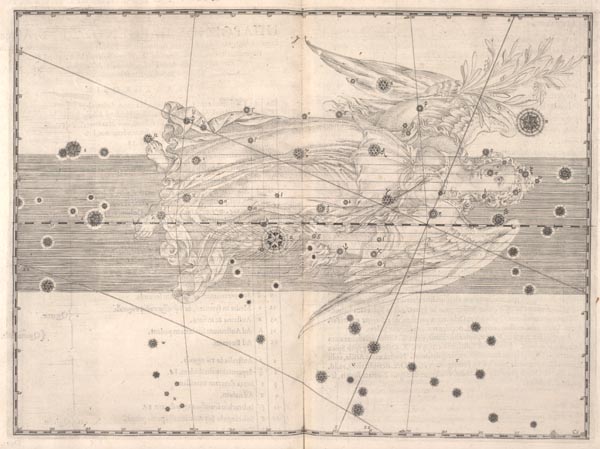 Tavle fra: Johann Bayer: Uranometria, 1603