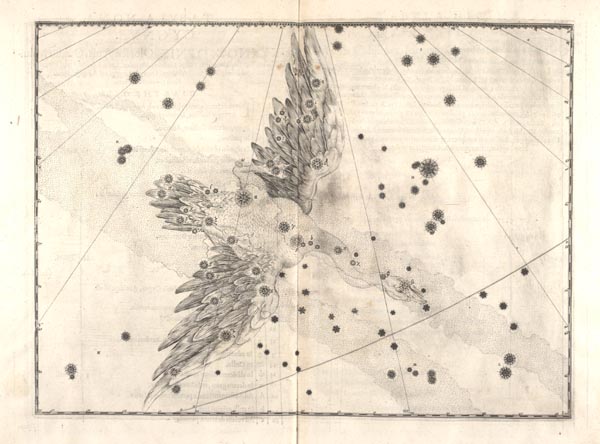 Tavle fra: Johann Bayer: Uranometria, 1603