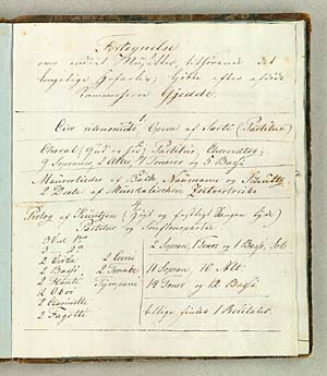 En af 1826-listerne over Hofmusikarkivet. Klik for større billede